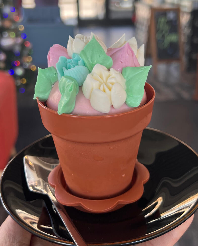Flower Pot $11